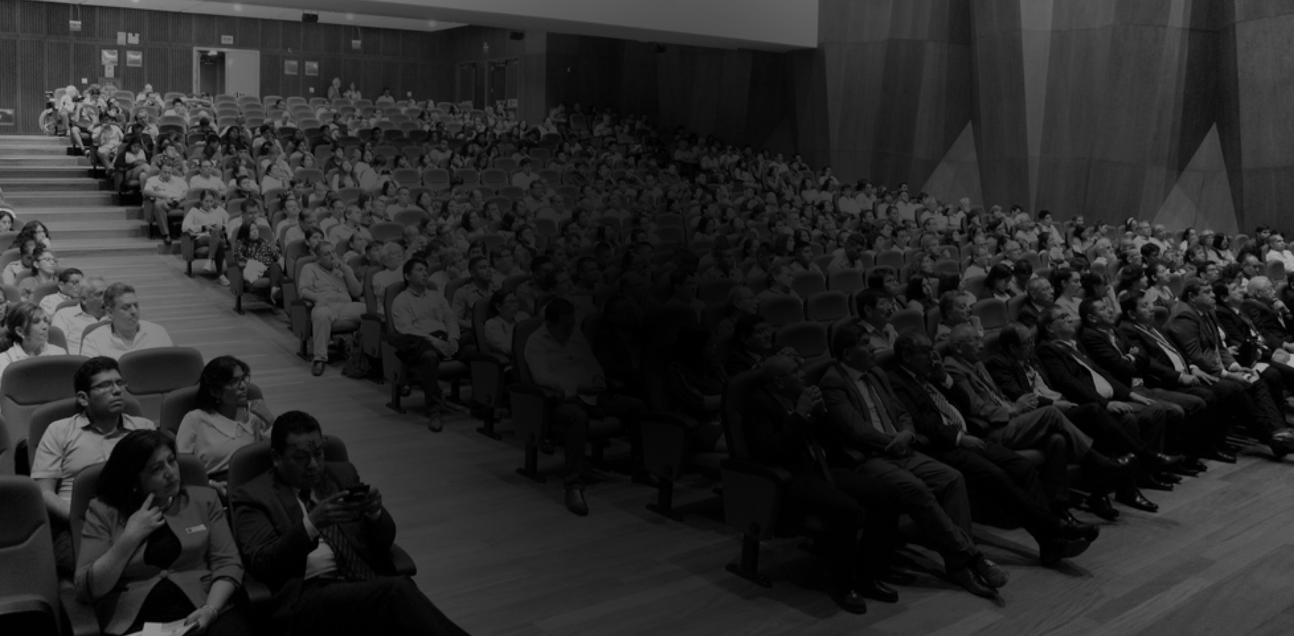 VIII CONGRESO INTERNACIONAL DE ERGONOMÍA